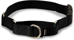 PetSafe Martingale Dog Collar with Quick-Snap Buckle
